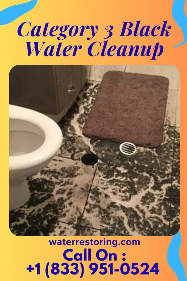 Category 3 Black Water Cleanup in Lansdowne, VA