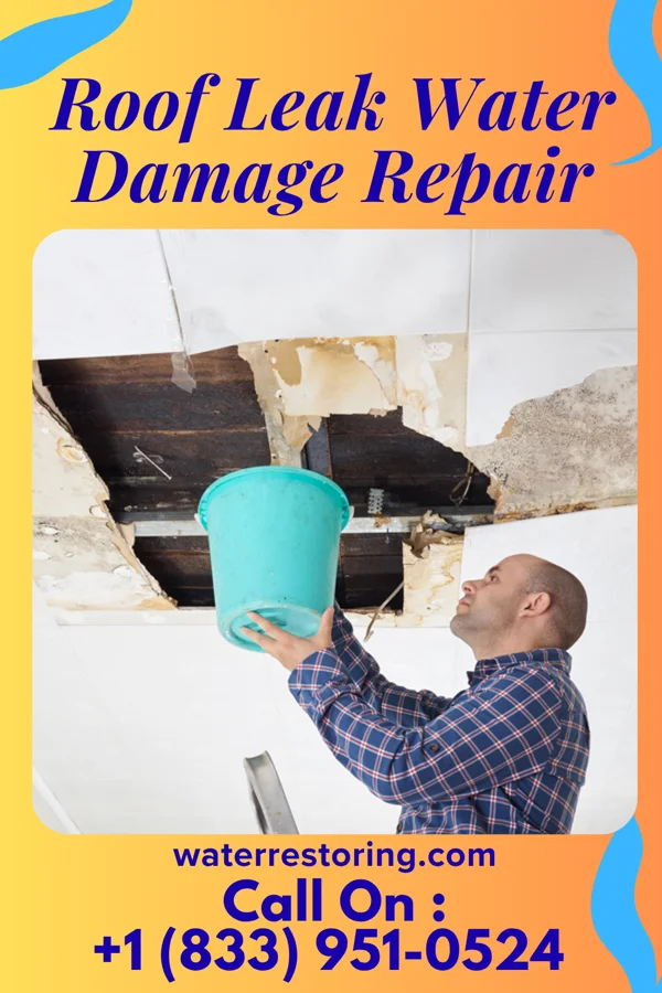 Roof Leak Water Damage Repair in Lansdowne, VA